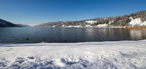 alpsee-winter_02.jpg